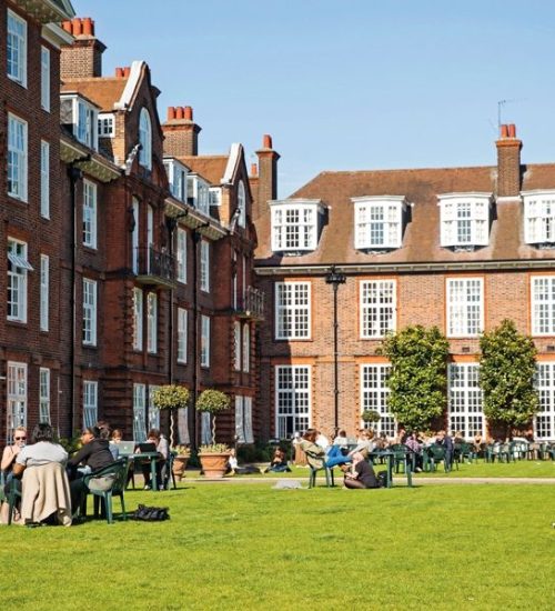 have-a-picnic-with-your-friends-on-one-of-the-lawns